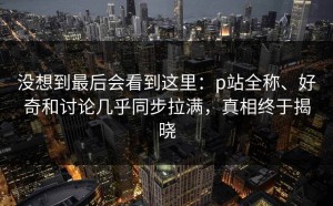 没想到最后会看到这里：p站全称、好奇和讨论几乎同步拉满，真相终于揭晓