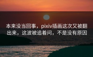 本来没当回事，pixiv插画这次又被翻出来，这波被追着问，不是没有原因