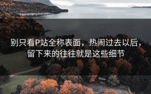 别只看P站全称表面，热闹过去以后，留下来的往往就是这些细节
