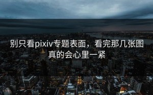 别只看pixiv专题表面，看完那几张图真的会心里一紧