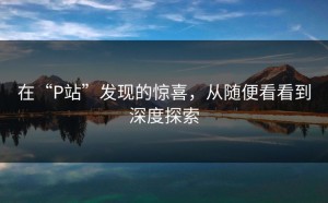 在“P站”发现的惊喜，从随便看看到深度探索