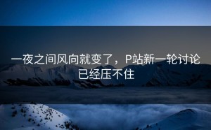 一夜之间风向就变了，P站新一轮讨论已经压不住
