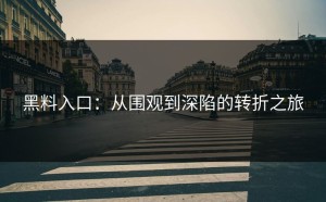 黑料入口：从围观到深陷的转折之旅