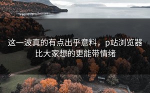 这一波真的有点出乎意料，p站浏览器比大家想的更能带情绪