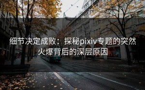 细节决定成败：探秘pixiv专题的突然火爆背后的深层原因