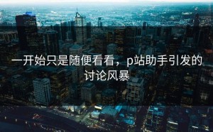 一开始只是随便看看，p站助手引发的讨论风暴
