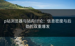 p站浏览器与站内讨论：信息密度与后劲的双重爆发