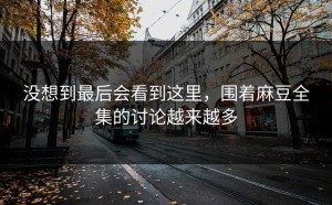 没想到最后会看到这里，围着麻豆全集的讨论越来越多