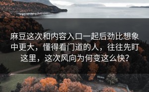 麻豆这次和内容入口一起后劲比想象中更大，懂得看门道的人，往往先盯这里，这次风向为何变这么快？
