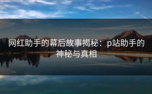 网红助手的幕后故事揭秘：p站助手的神秘与真相