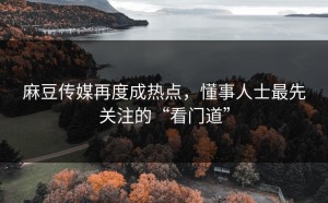 麻豆传媒再度成热点，懂事人士最先关注的“看门道”