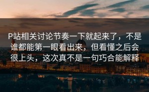 P站相关讨论节奏一下就起来了，不是谁都能第一眼看出来，但看懂之后会很上头，这次真不是一句巧合能解释