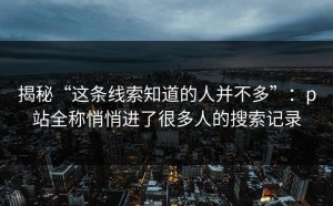 揭秘“这条线索知道的人并不多”：p站全称悄悄进了很多人的搜索记录