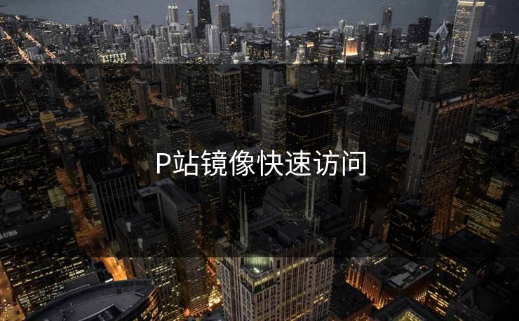 P站镜像快速访问