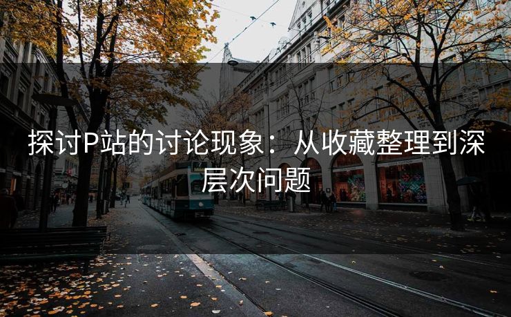 探讨P站的讨论现象：从收藏整理到深层次问题