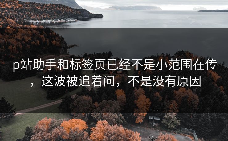 p站助手和标签页已经不是小范围在传，这波被追着问，不是没有原因
