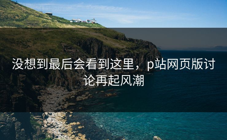 没想到最后会看到这里，p站网页版讨论再起风潮