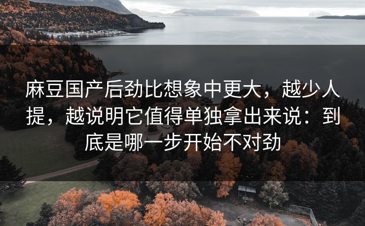 麻豆国产后劲比想象中更大,越少人提,越说明它值得单独拿出来说:到底是哪一步开始不对劲 麻豆国产后劲比想象中更大,越少人提,越说明它值得单独拿出来说:到底是哪一步开始不对劲