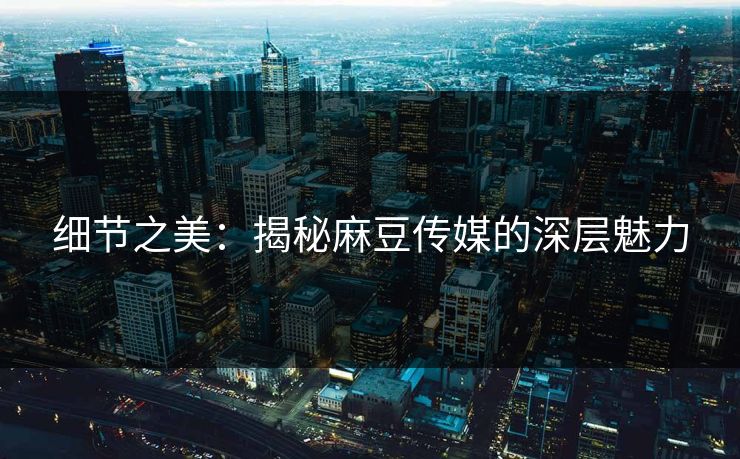 细节之美：揭秘麻豆传媒的深层魅力