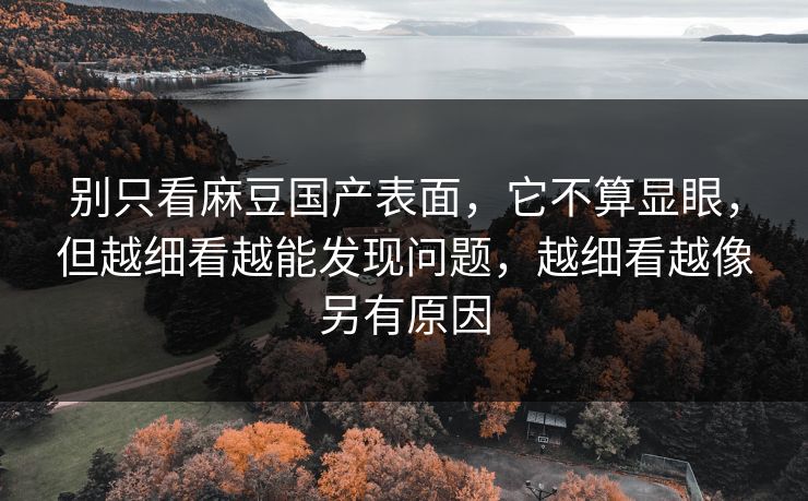 别只看麻豆国产表面，它不算显眼，但越细看越能发现问题，越细看越像另有原因
