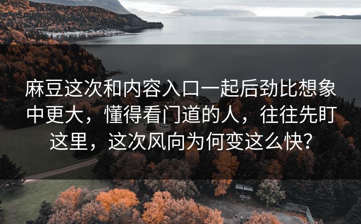 麻豆这次和内容入口一起后劲比想象中更大，懂得看门道的人，往往先盯这里，这次风向为何变这么快？