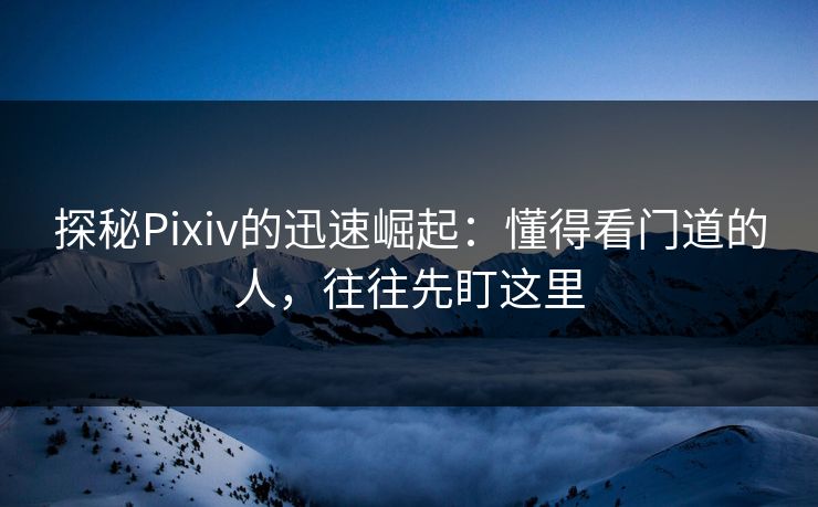 探秘Pixiv的迅速崛起：懂得看门道的人，往往先盯这里